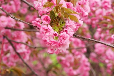 苏州姑苏区线下个人借款平台一站式服务，轻松解决资金难题