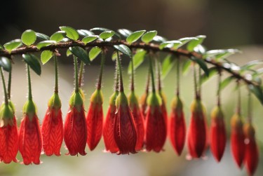 苏州姑苏区零用贷短借：轻松解决临时资金需求