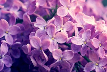 苏州姑苏区企业急用钱贷款攻略：快速融资解燃眉之急